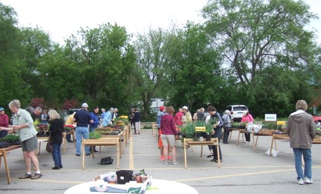 Plant Sale